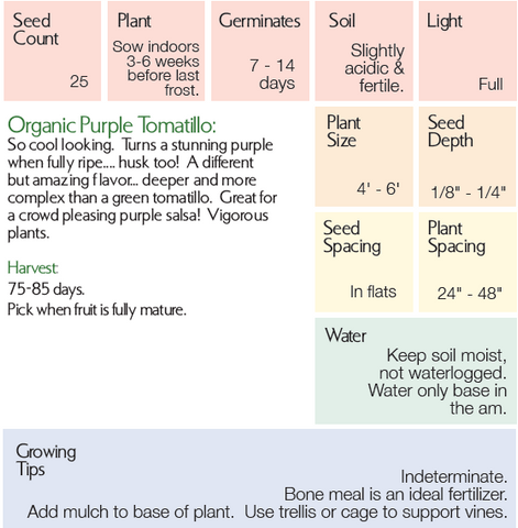 Organic Purple Tomatillo