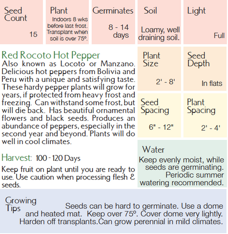 Red Rocoto Pepper - Capsicum pubescens