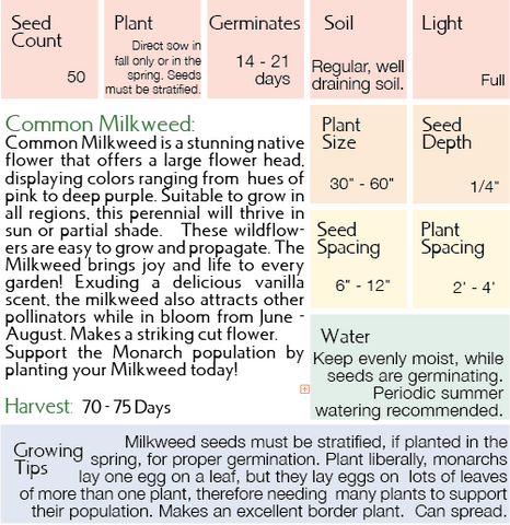 Growing Instructions Common Milkweed