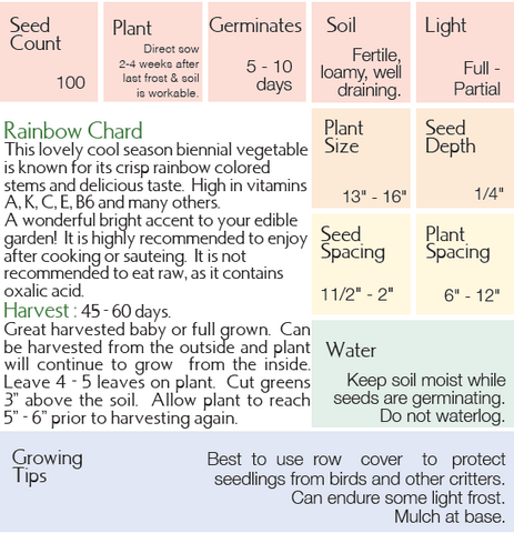 Rainbow Chard