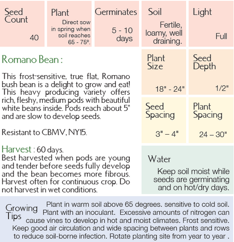 Growing instructions Romano Bean