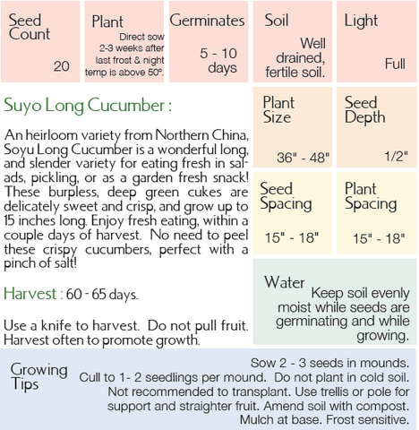 Suyo Long Growing Instructions