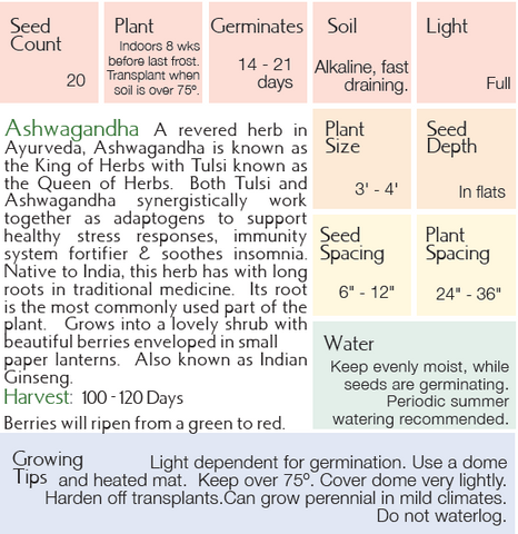 Ashwagandha Growing Instructions