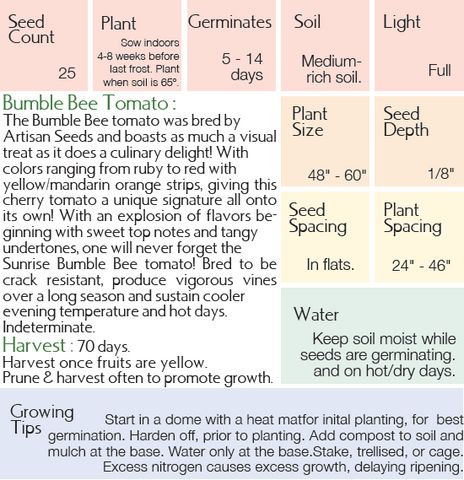 Sunrise Bumblebee Tomato