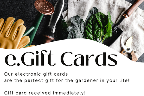 Gift Certificate