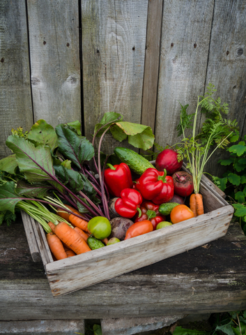 Garden harvest