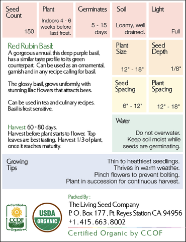 Organic Red Rubin Purple Basil - Ocimum basilicum