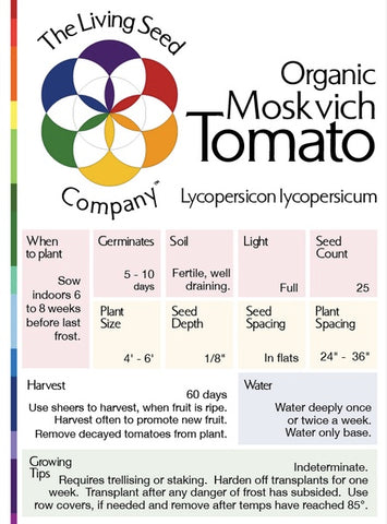 Organic Moskvich Tomato - Lycopersicon lycopersicum