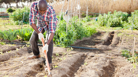 Working the soil