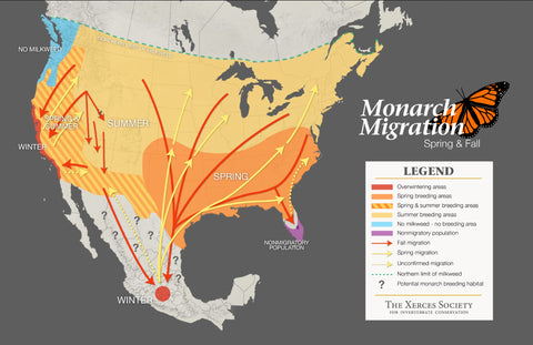 monarch_migration_map