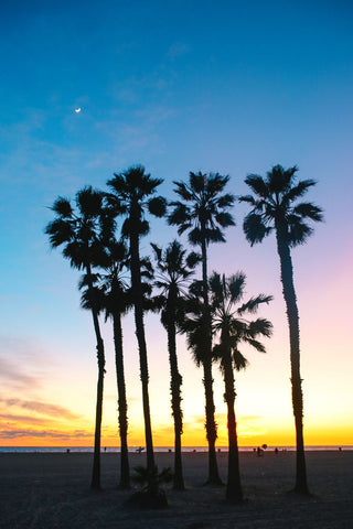 Venice Beach