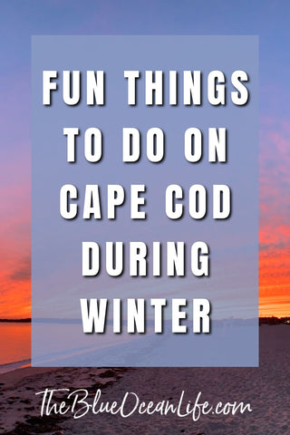 best things to do during the winter on Cape Cod