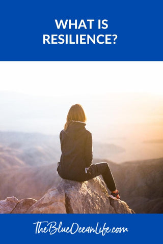 meaning of resilience