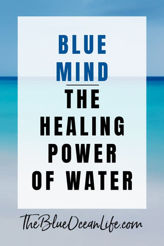 blue mind the healing power of water