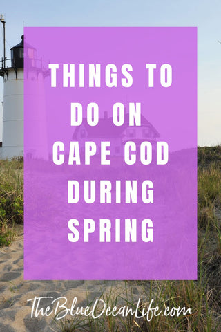 top things to do on Cape Cod during spring