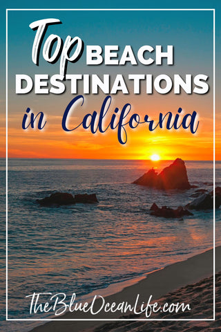 top best california beaches to visit all year round