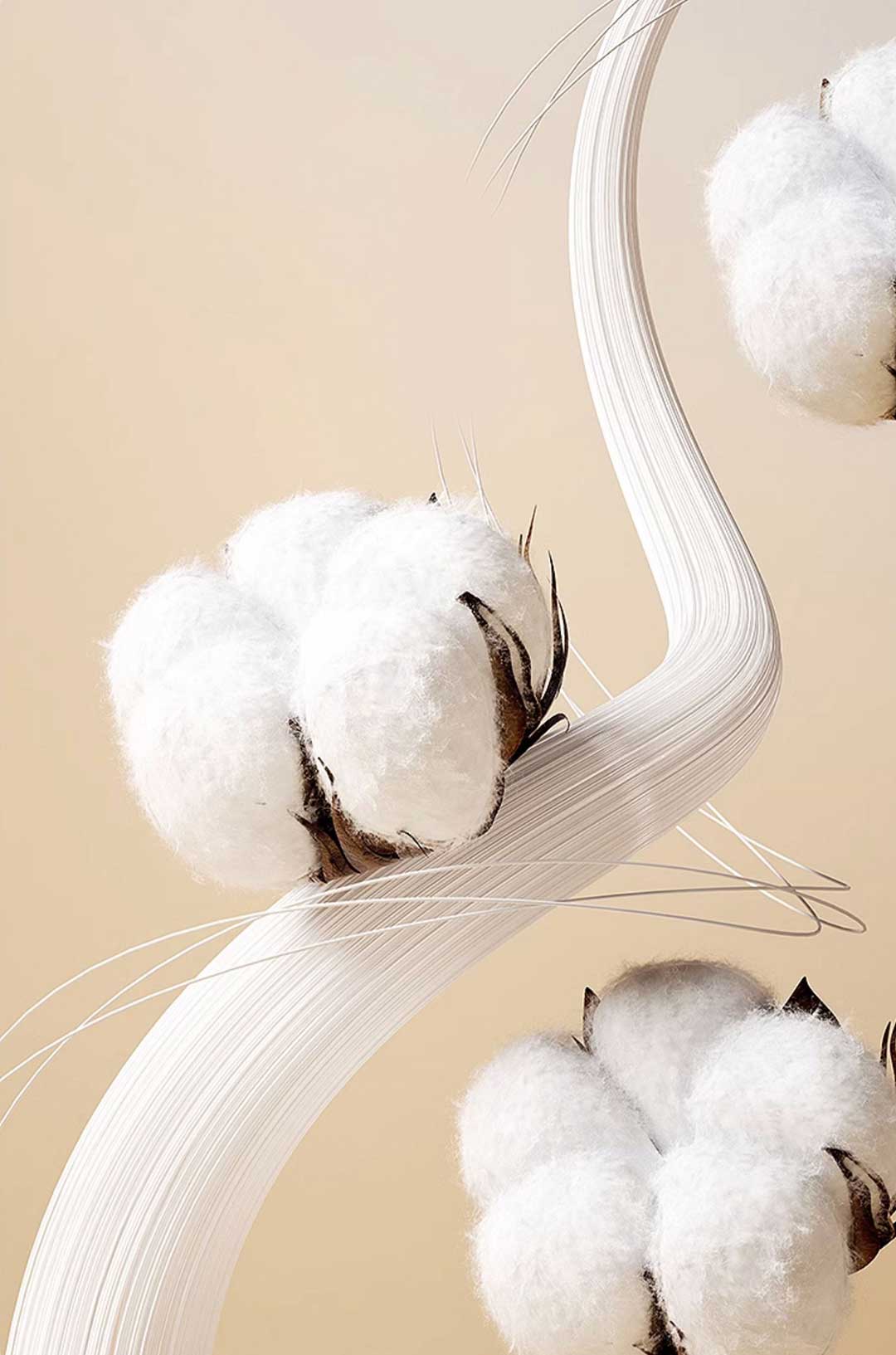Everything You Need To Know About Pima Cotton