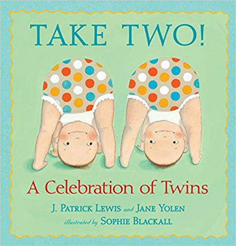 twin book, twin poems, take two, a celebration of twins, twin babybooks