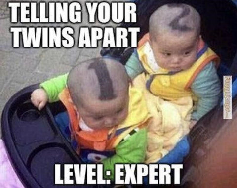 having twins meme