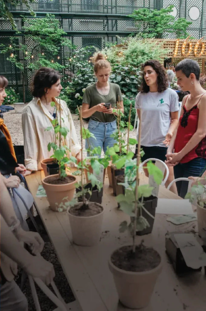 Atelier végétal avec POUSSE