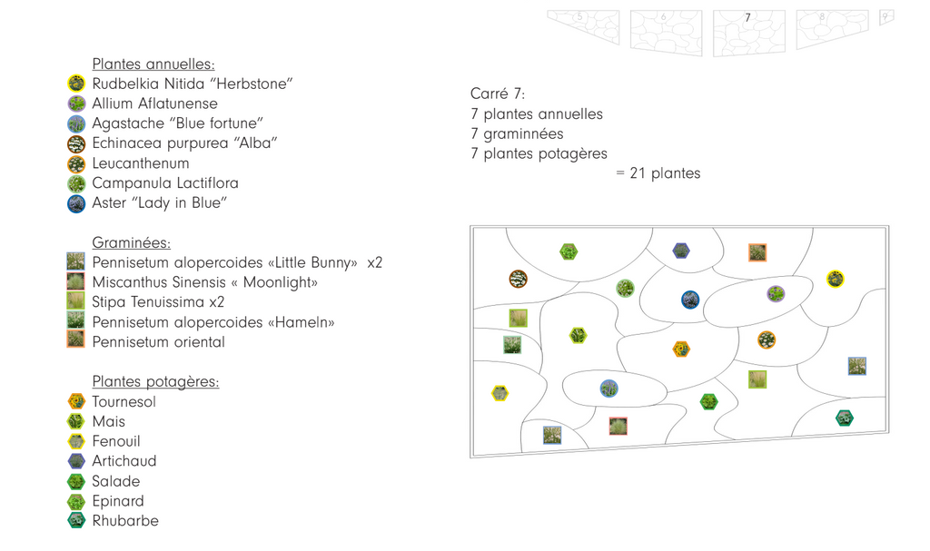 Bureau d'étude concetion - Plan d'implantation végétale - POUSSE