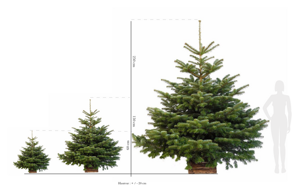 sapin de noel 180cm 