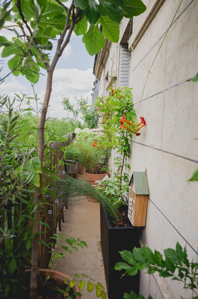 balcon parisien paysagiste