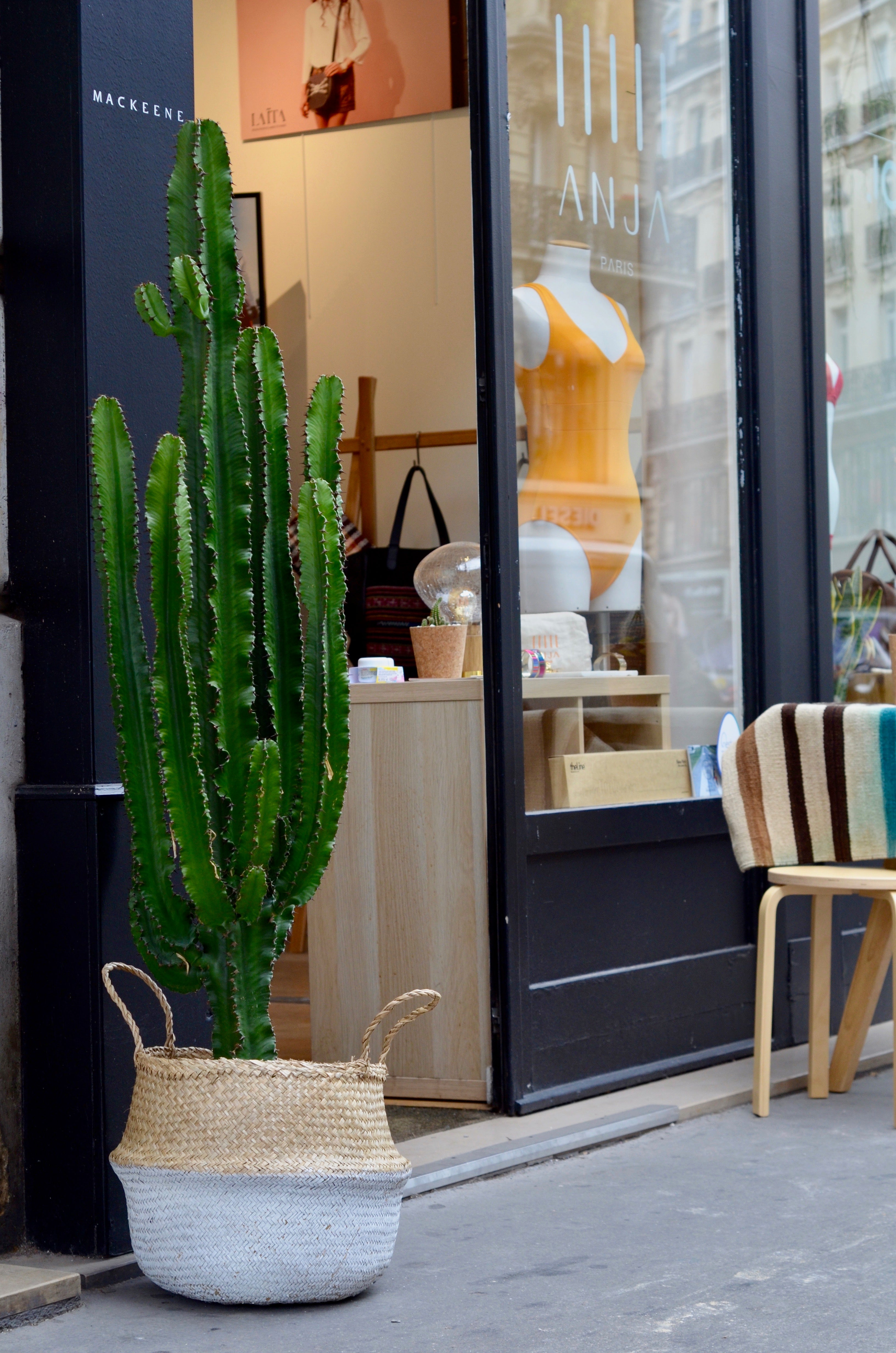 cactus-boutique-paris