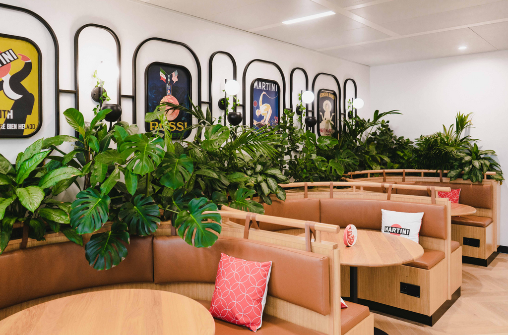 Plantes dans les bureaux Bacardi