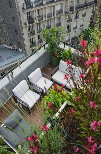 vegetalisation terrasse plante et fleurs paris