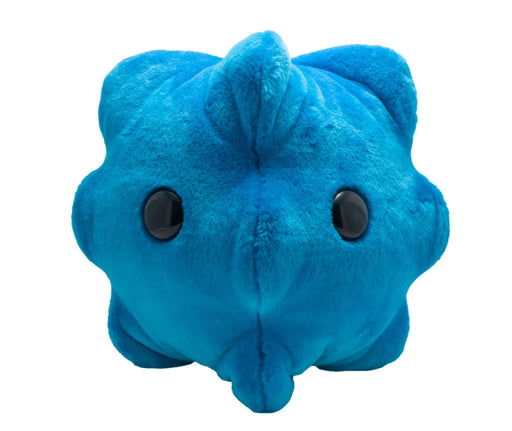 giant microbes common cold