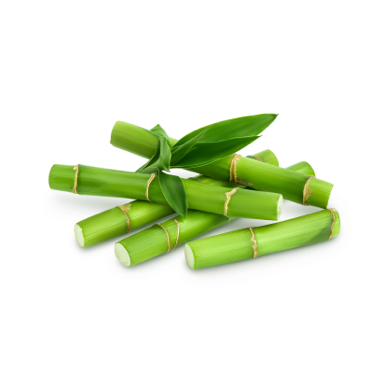 Bamboo ingredient on white.