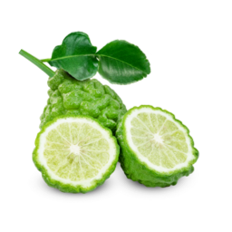 Italian Bergamot ingredient on white.