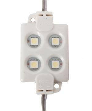 DC12V Natural White Samsung led module IP68 (20 Module, 60LEDs)