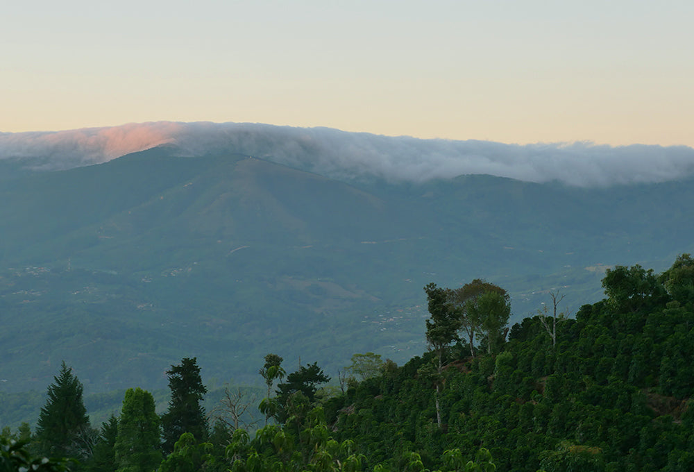 Costa Rica Landscape