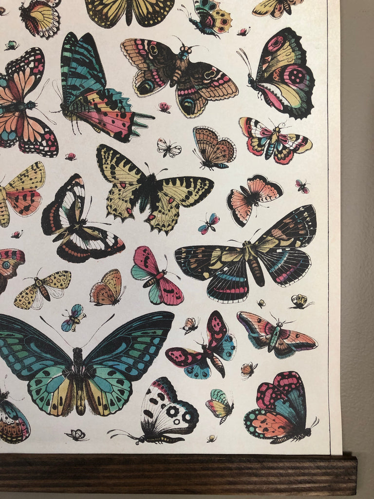 Butterfly Series Poster Wall Hanging – Michigan Studio