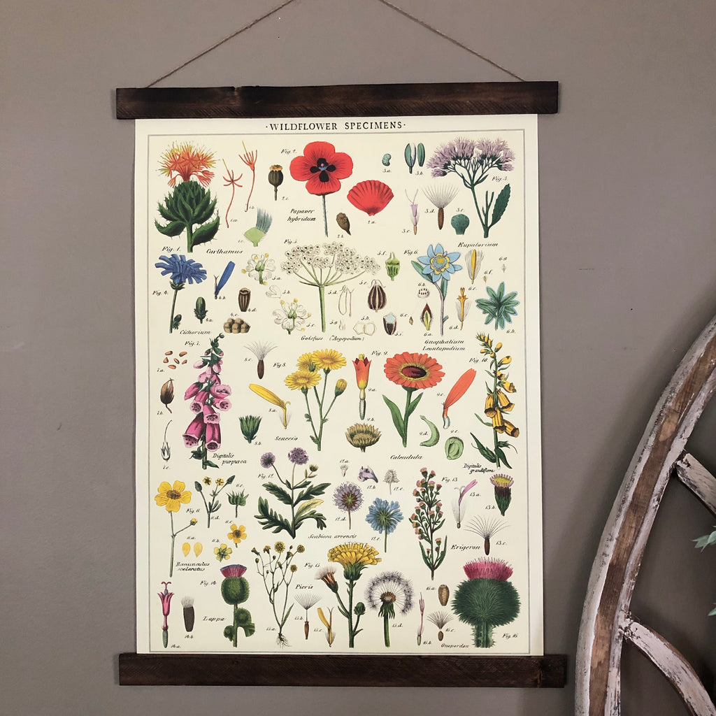 Wildflowers Poster Wall Hanging – Michigan Studio