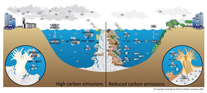 OceanAcidification