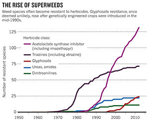 Chart of Super Weeds due to GMO's