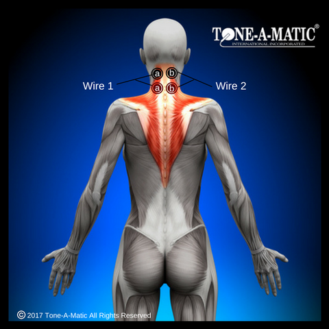 How to Use TENS Devices  Tone-A-Matic Electronic Muscle Stimulators in  Canada
