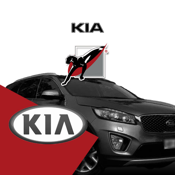 KIA Diesel Power Performance Chip Tuning Module Car