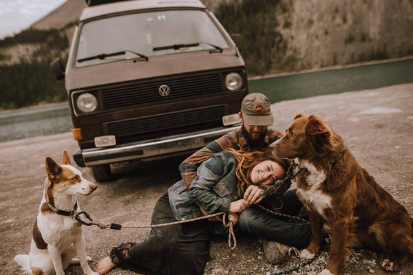 VanLife Dog is Their Co-pilot, Literally · The Wildest