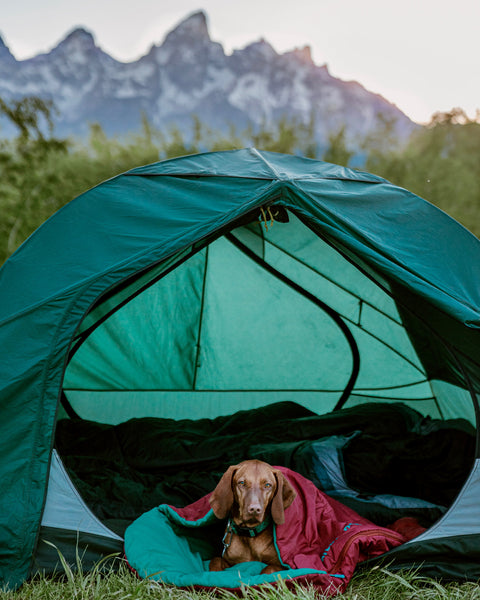 The 5 Types of Campsites + How to Find a Dog-Friendly Spot – Wilderdog