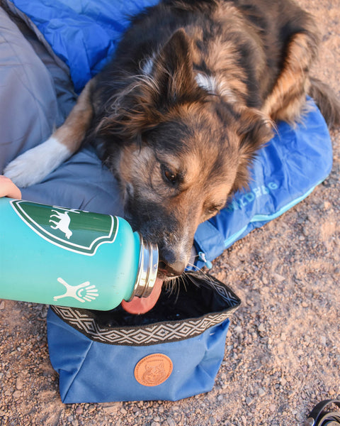 Lightweight travel dog bowl weighing 2.5 ounces