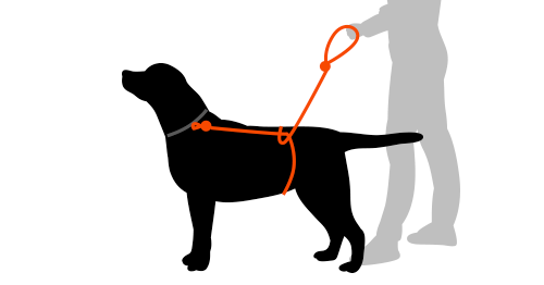 slip knot dog leash