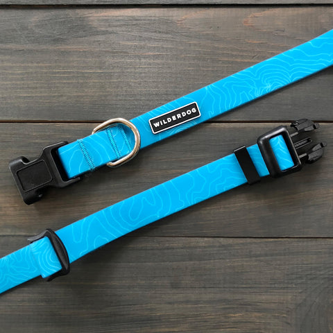 teal dog collar