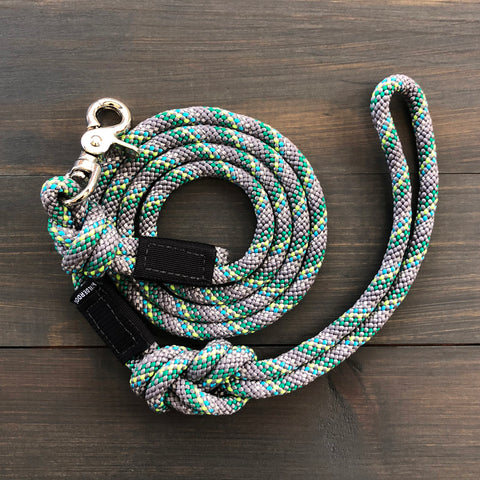 Quick Clip Leashes – Wilderdog