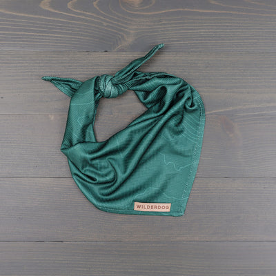 Dako Bandana – Wilderdog