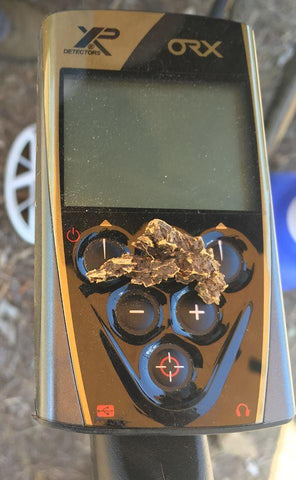 XP Orx Gold Metal Detector