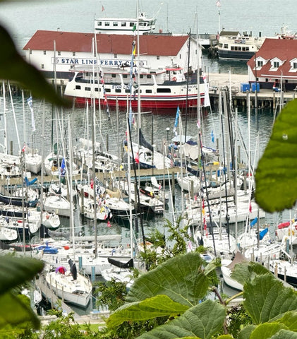 Yachts in the Mackinac Island Marina